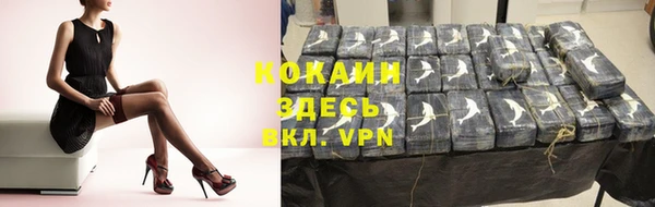 прущие крисы Инта