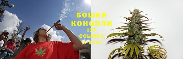 дживик Иннополис