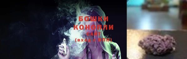 гидра Каменногорск