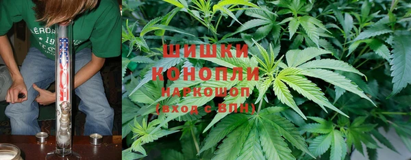 гидра Каменногорск
