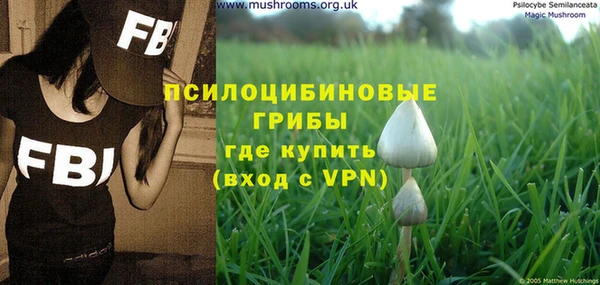 mdpv Каменка