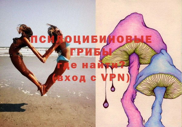 дживик Иннополис