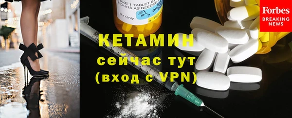 гидра Каменногорск