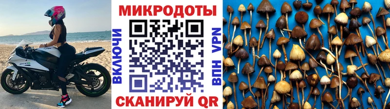 Галлюциногенные грибы Psilocybe  Купить закладки  Донецк 